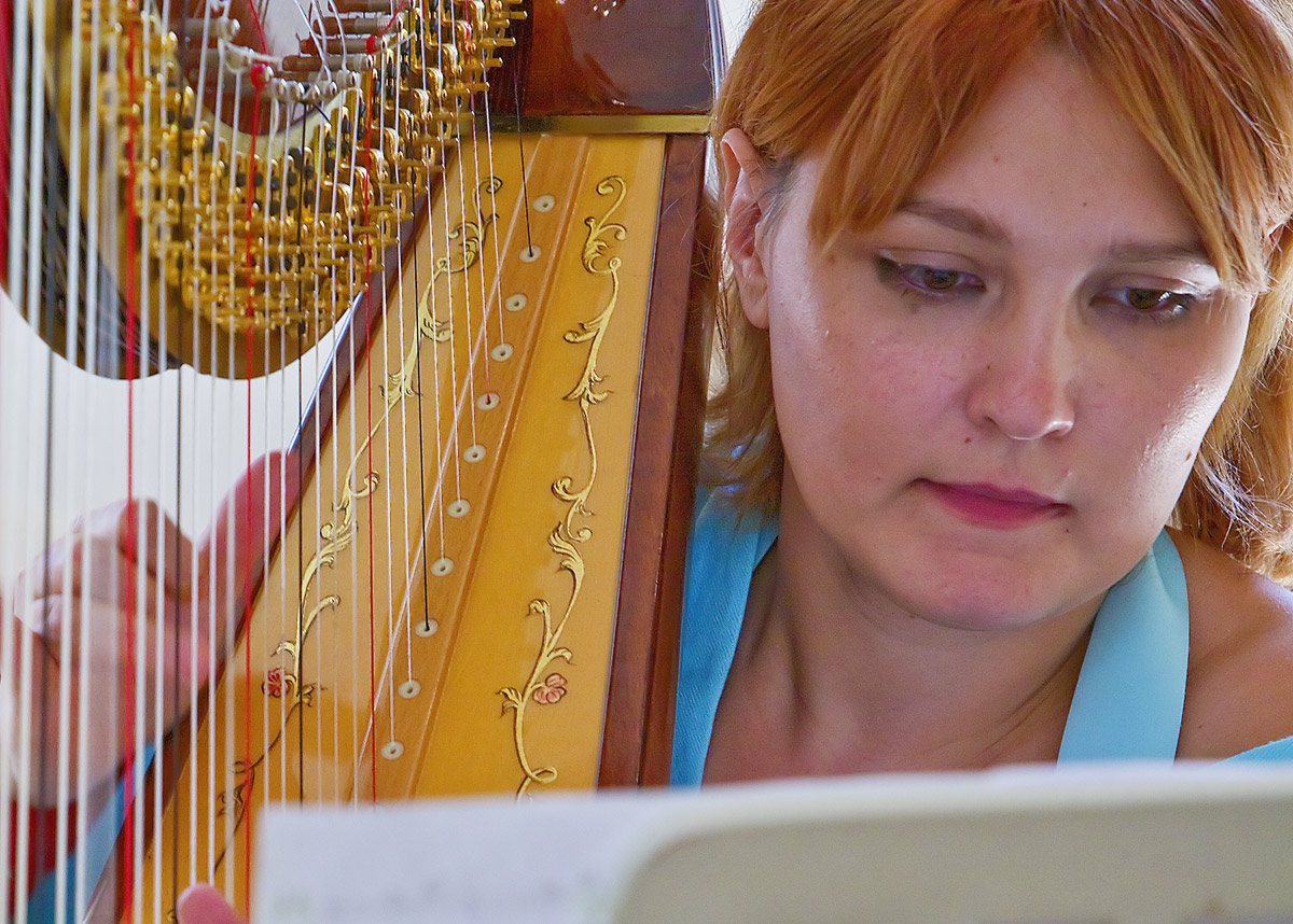 Concert for Harp and Organ Gallery by JosefStefan Kindler